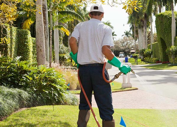 About Lake Mc Donald MT Pest Control